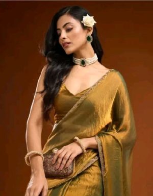 Solid Beads and Stones Saree