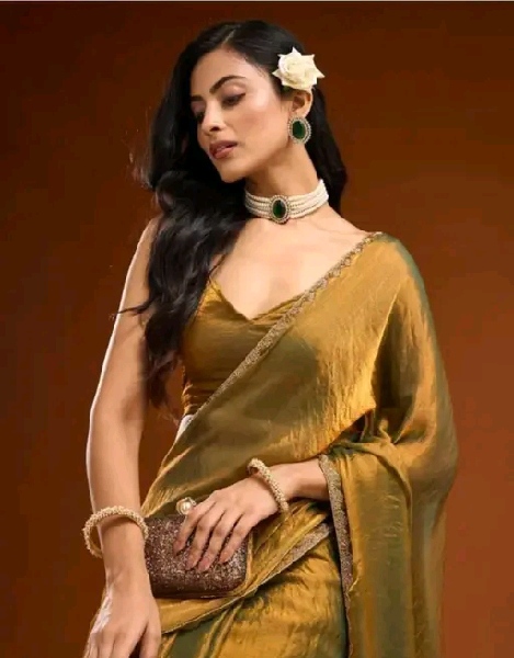 Solid Beads and Stones Saree